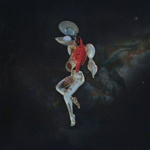 Hail Spirit Noir - Fossil Gardens CD