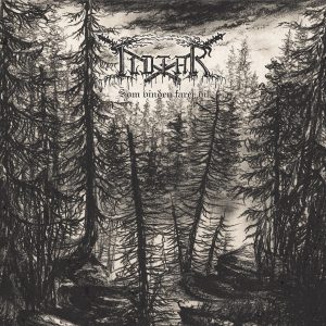 Ildfar - Som Vinden Farer Vil CD DIGIPACK