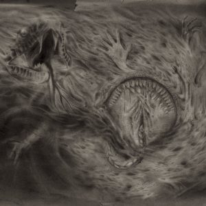 Nidsang - Into The Womb Of Dissolving Flames CD