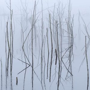 Olhava - Frozen Bloom CD DIGIPACK