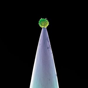 Peter Gabriel - New Blood CD