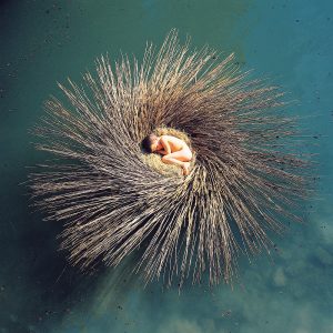 Peter Gabriel - OVO CD