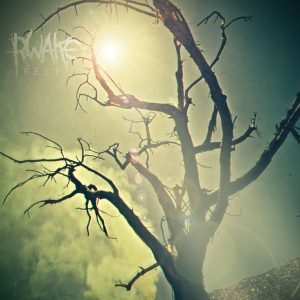 Rwake - Rest CD