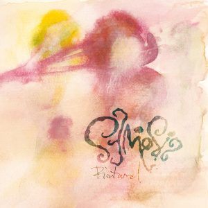 Semiosis - Pictural CD