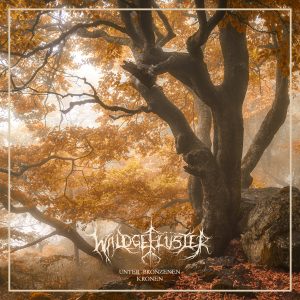 Waldgeflüster - Unter Bronzenen Kronen CD DIGIPACK